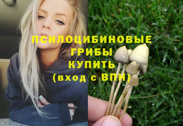 СК Краснослободск
