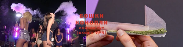 СК Краснослободск