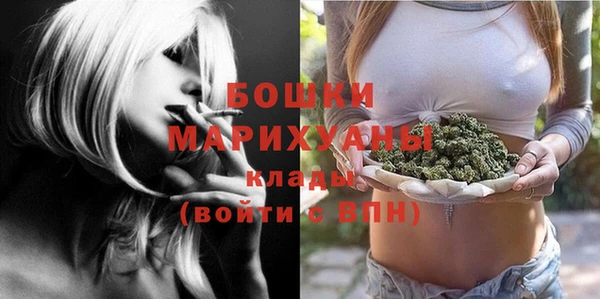 СК Краснослободск