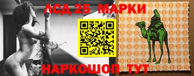 a pvp Жуковский
