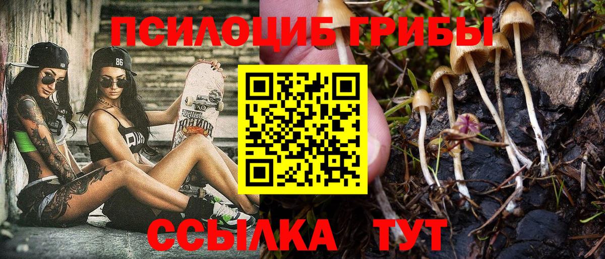Псилоцибиновые грибы GOLDEN TEACHER Мелеуз